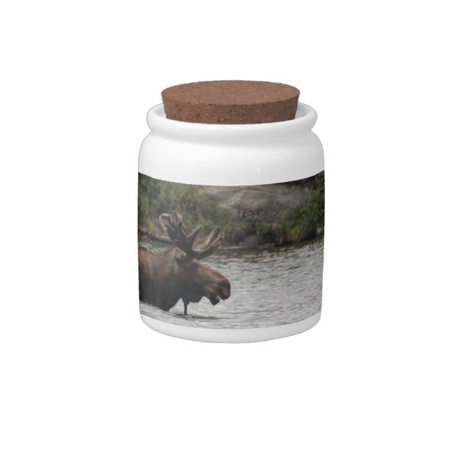 Bull Moose Candy Jar (Right)