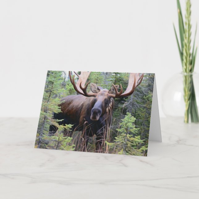Bull Moose Card (Front)