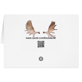 Bull Moose Cards (Back Horizontal)
