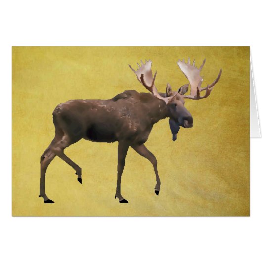 Bull Moose Cards (Front Horizontal)