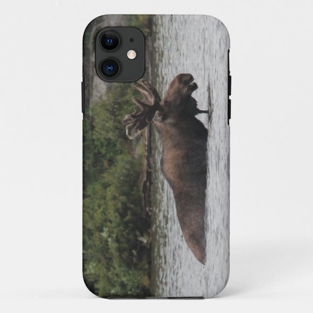 Bull Moose Case-Mate iPhone Case (Back)