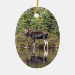 Bull Moose Ceramic Ornament