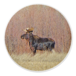 Bull Moose Custom Ceramic Knob