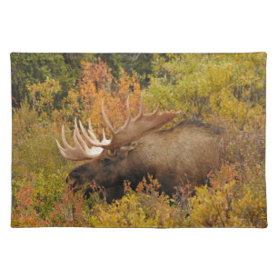 Bull Moose Denali National Park, Alaska Cloth Placemat