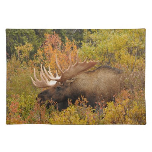 Bull Moose  Denali National Park Alaska Cloth Placemat
