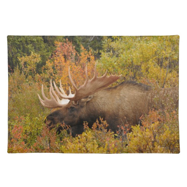 Bull Moose | Denali National Park, Alaska Cloth Placemat (Front)