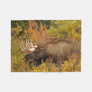 Bull Moose Denali National Park, Alaska Fleece Blanket