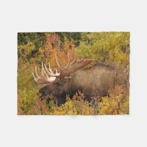 Bull Moose  Denali National Park Alaska Fleece Blanket