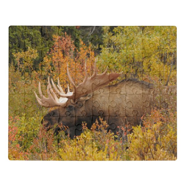 Bull Moose | Denali National Park, Alaska Jigsaw Puzzle (Puzzle Horizontal)