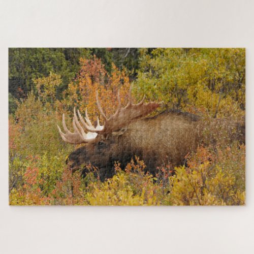 Bull Moose  Denali National Park Alaska Jigsaw Puzzle