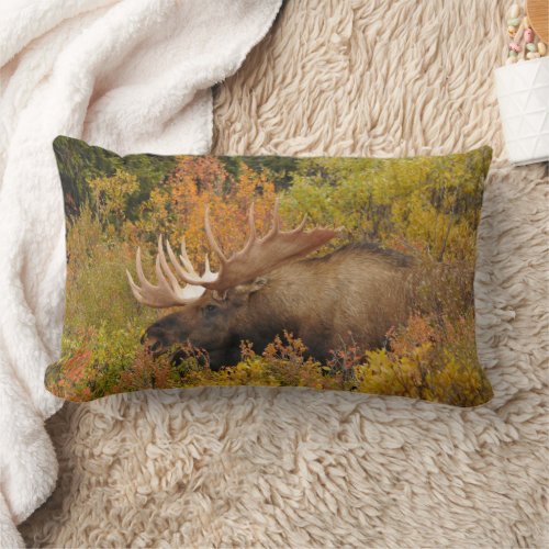 Bull Moose  Denali National Park Alaska Lumbar Pillow