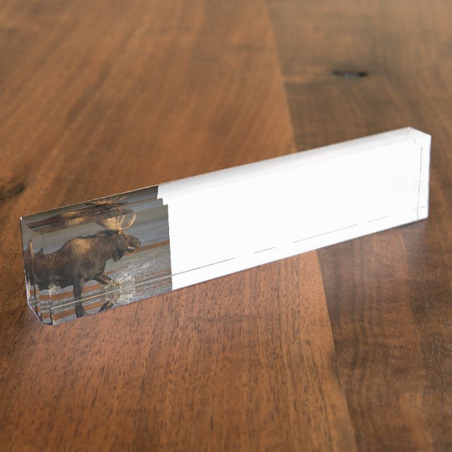 Bull Moose Desk Name Plate (Side)