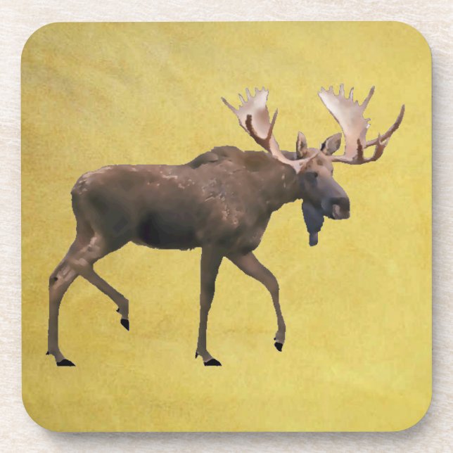 Bull Moose Drink Coaster (Front)