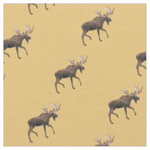 Bull Moose Fabric