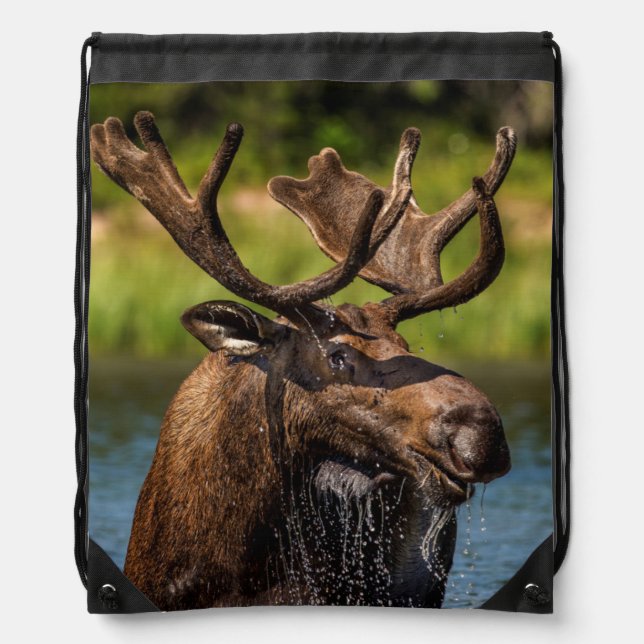 Bull moose feeding in Glacier National Park Drawstring Bag (Front)