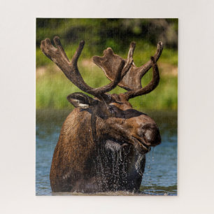 Bull Moose Glacier National Park Montana Jigsaw Puzzle