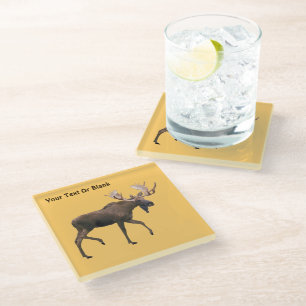 Bull Moose Glass Coaster
