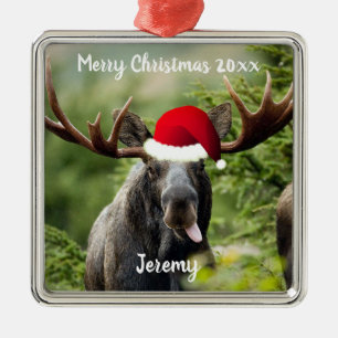 Bull Moose in Santa Hat Ornament