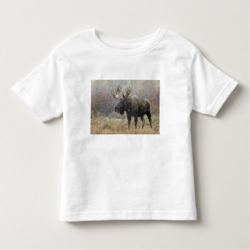 Bull moose in snowstorm with aspen trees in toddler t_shirt