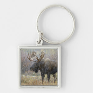 Bull moose in snowstorm with aspen trees keychain