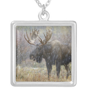 Bull moose in snowstorm with aspen trees silver plated necklace