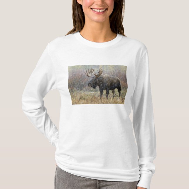 Bull moose in snowstorm with aspen trees T-Shirt (Front)