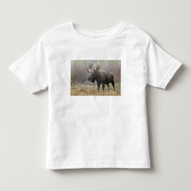 Bull moose in snowstorm with aspen trees toddler t-shirt (Front)