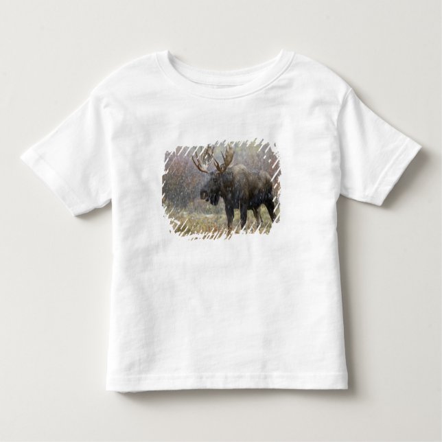 Bull moose in snowstorm with aspen trees toddler t-shirt (Front)
