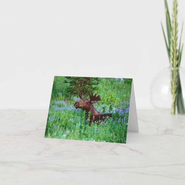Bull Moose in Wildflowers Note Card (Front)