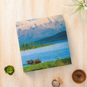 Bull moose in Wonder Lake 3 Ring Binder