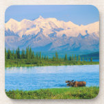 Bull moose in Wonder Lake Beverage Coaster<br><div class="desc">Wonder Lake,  Bull moose feeds on vegetation,  Alaska mountains in the distance,  Denali National Park,  Alaska</div>
