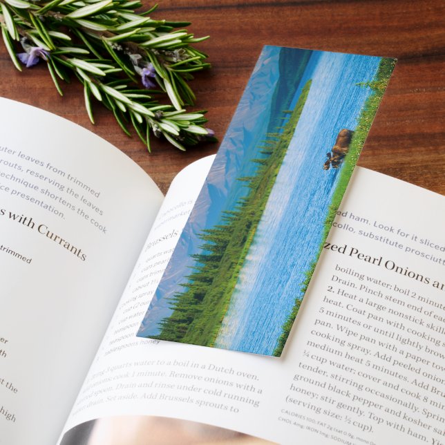 Bull moose in Wonder Lake Bookmarks (Book)