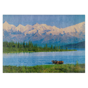 Bull moose in Wonder Lake Cutting Board