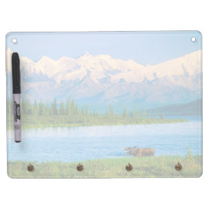 Bull moose in Wonder Lake Dry Erase Board With Keychain Holder