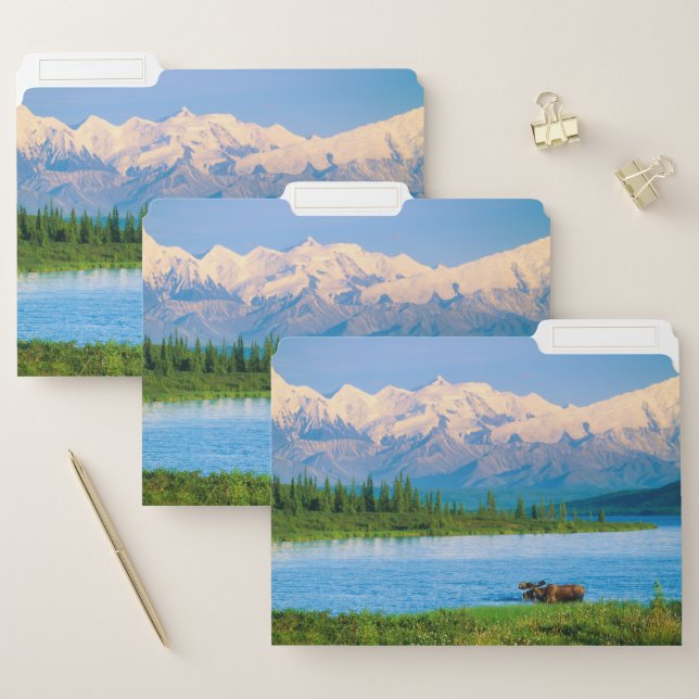 Bull moose in Wonder Lake File Folder (Set)