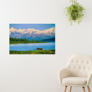 Bull moose in Wonder Lake Foam Board