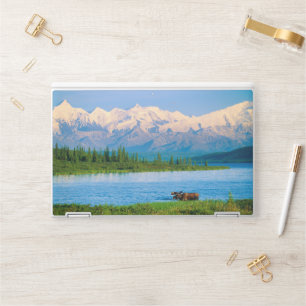 Bull moose in Wonder Lake HP Laptop Skin