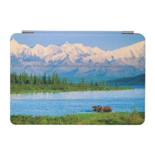 Bull moose in Wonder Lake iPad Mini Cover