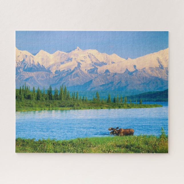 Bull moose in Wonder Lake Jigsaw Puzzle (Horizontal)