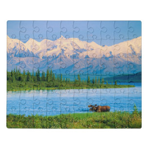 Bull moose in Wonder Lake Jigsaw Puzzle