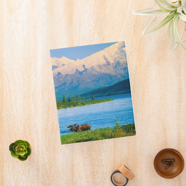 Bull moose in Wonder Lake Mini Binder (InSitu)