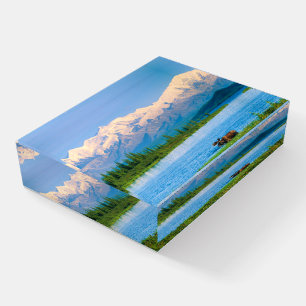 Bull moose in Wonder Lake Paperweight