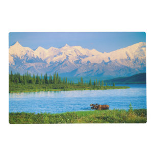 Bull moose in Wonder Lake Placemat