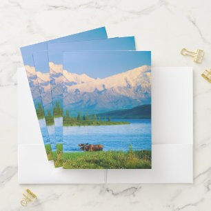 Bull moose in Wonder Lake Pocket Folder