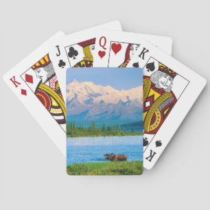 Bull moose in Wonder Lake Poker Cards