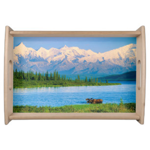 Bull moose in Wonder Lake Serving Tray