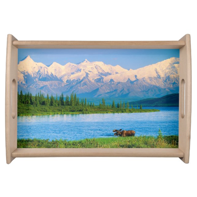 Bull moose in Wonder Lake Serving Tray (Front)