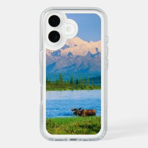 Bull moose in Wonder Lake iPhone 16 Case