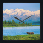 Bull moose in Wonder Lake Square Wall Clock<br><div class="desc">Wonder Lake,  Bull moose feeds on vegetation,  Alaska mountains in the distance,  Denali National Park,  Alaska</div>