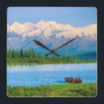 Bull moose in Wonder Lake Square Wall Clock<br><div class="desc">Wonder Lake,  Bull moose feeds on vegetation,  Alaska mountains in the distance,  Denali National Park,  Alaska</div>